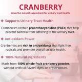 Member's Mark Clinical Strength Cranberry Capsules, 500 mg, 150 ct.